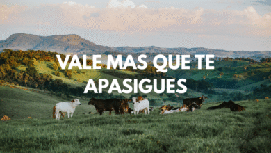 vale mas que te apasigues